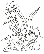 Maya an Bee Dathú Ar Líne